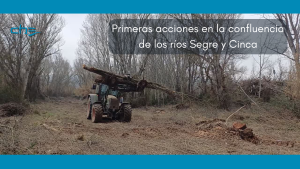 Comienza la adecuación morfológica del cauce en los términos municipales de Torrente de Cinca, Massalcoreig y La Granja d'Escarp