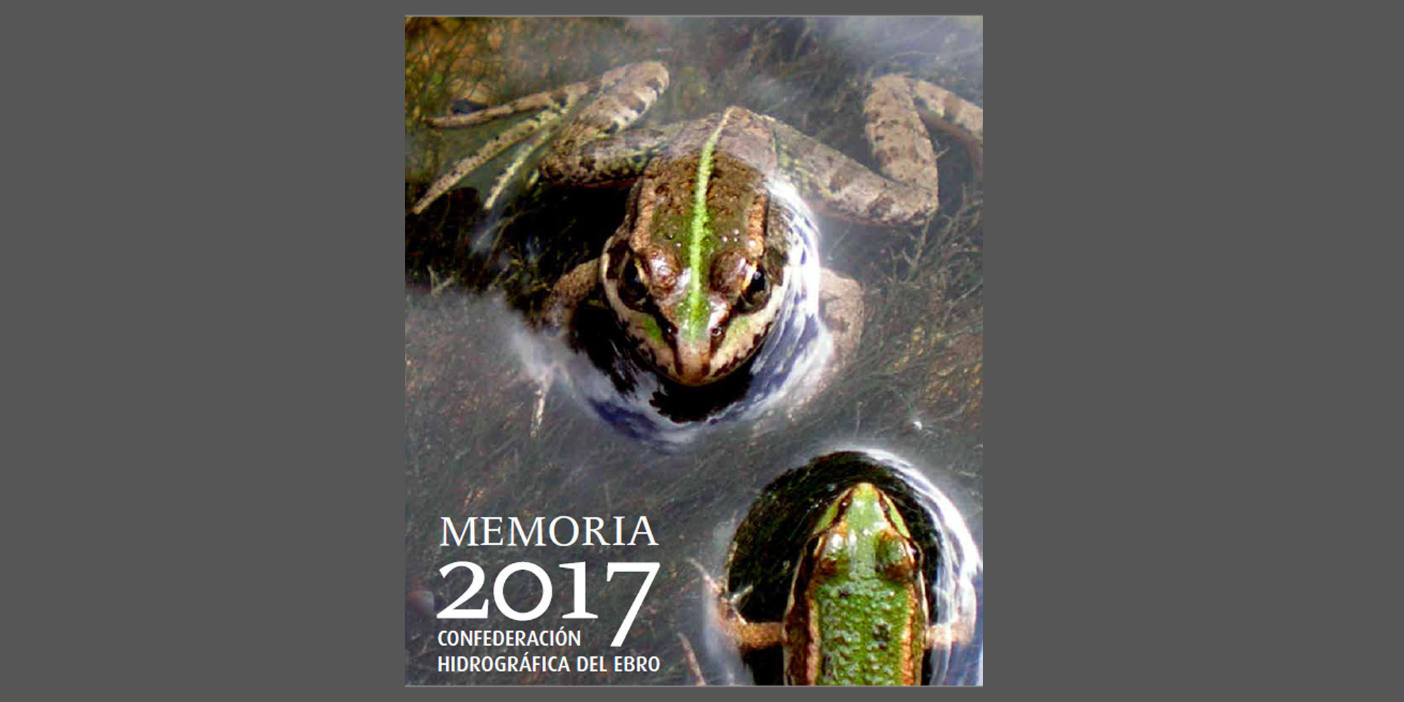 Memoria de la Confederación Hidrográfica del Ebro del año 2017 Memoria de la Confederación Hidrográfica del Ebro del año 2017